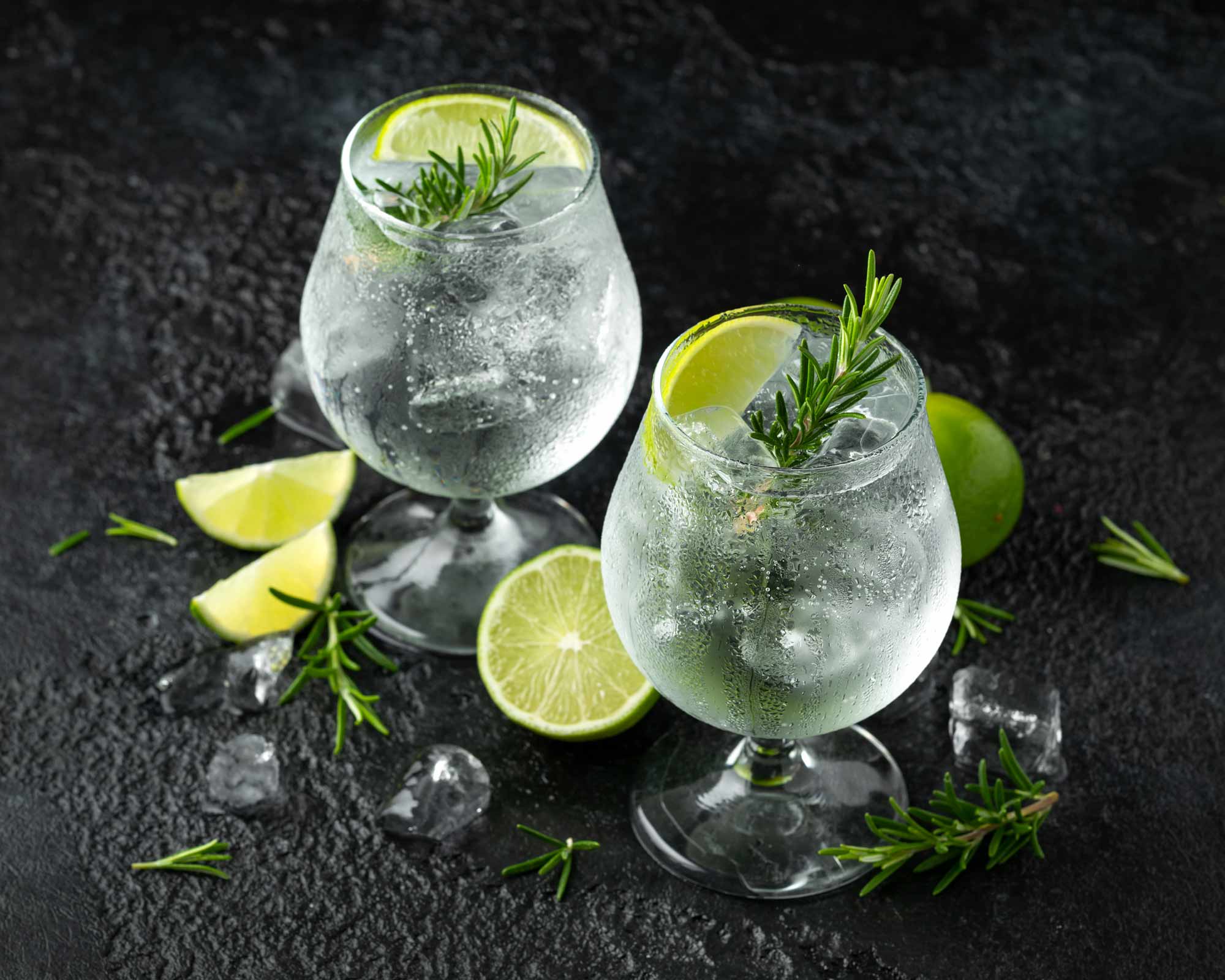 Best gins: best brands - Santandrea Luxury Houses