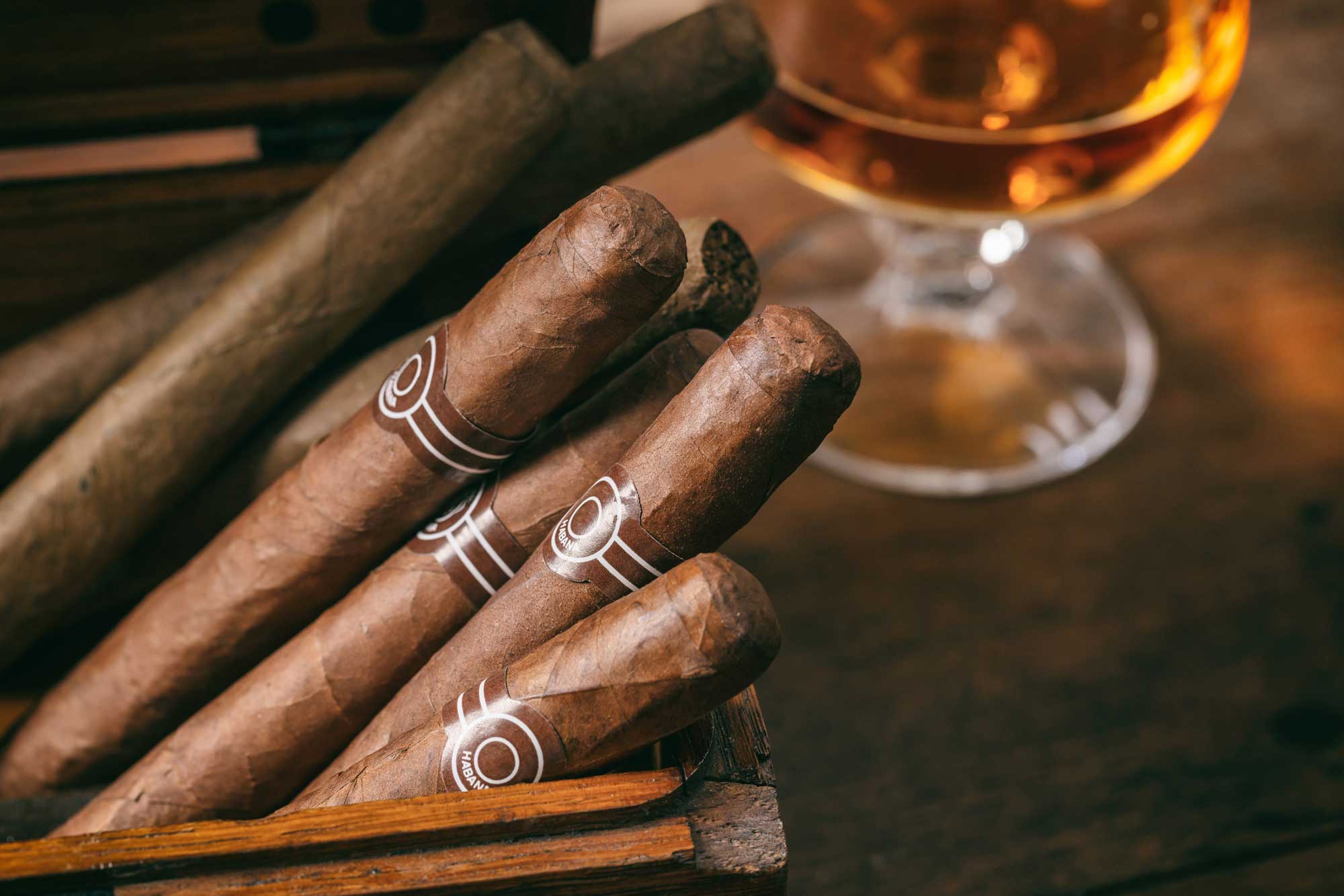 Best cigars: brands and prices - Santandrea Luxury Houses