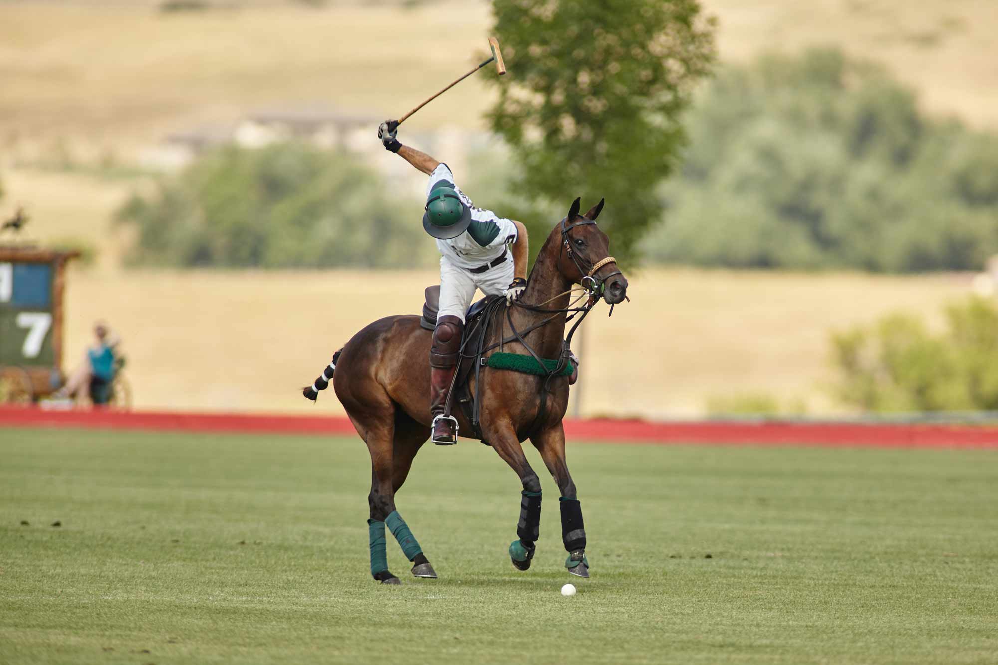 polo sport