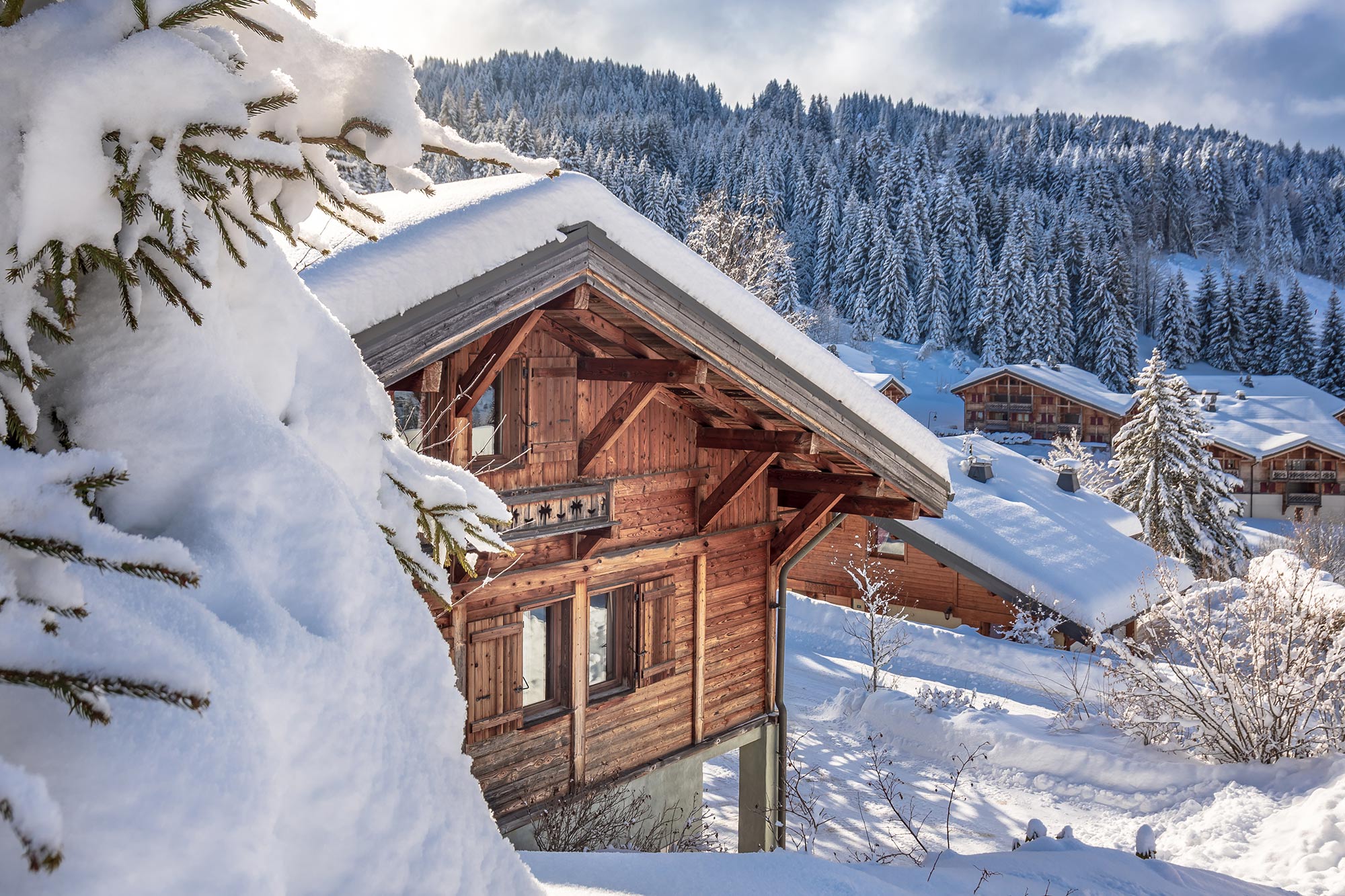 Chalet di lusso in italia: dove affittarli - Santandrea Luxury Houses
